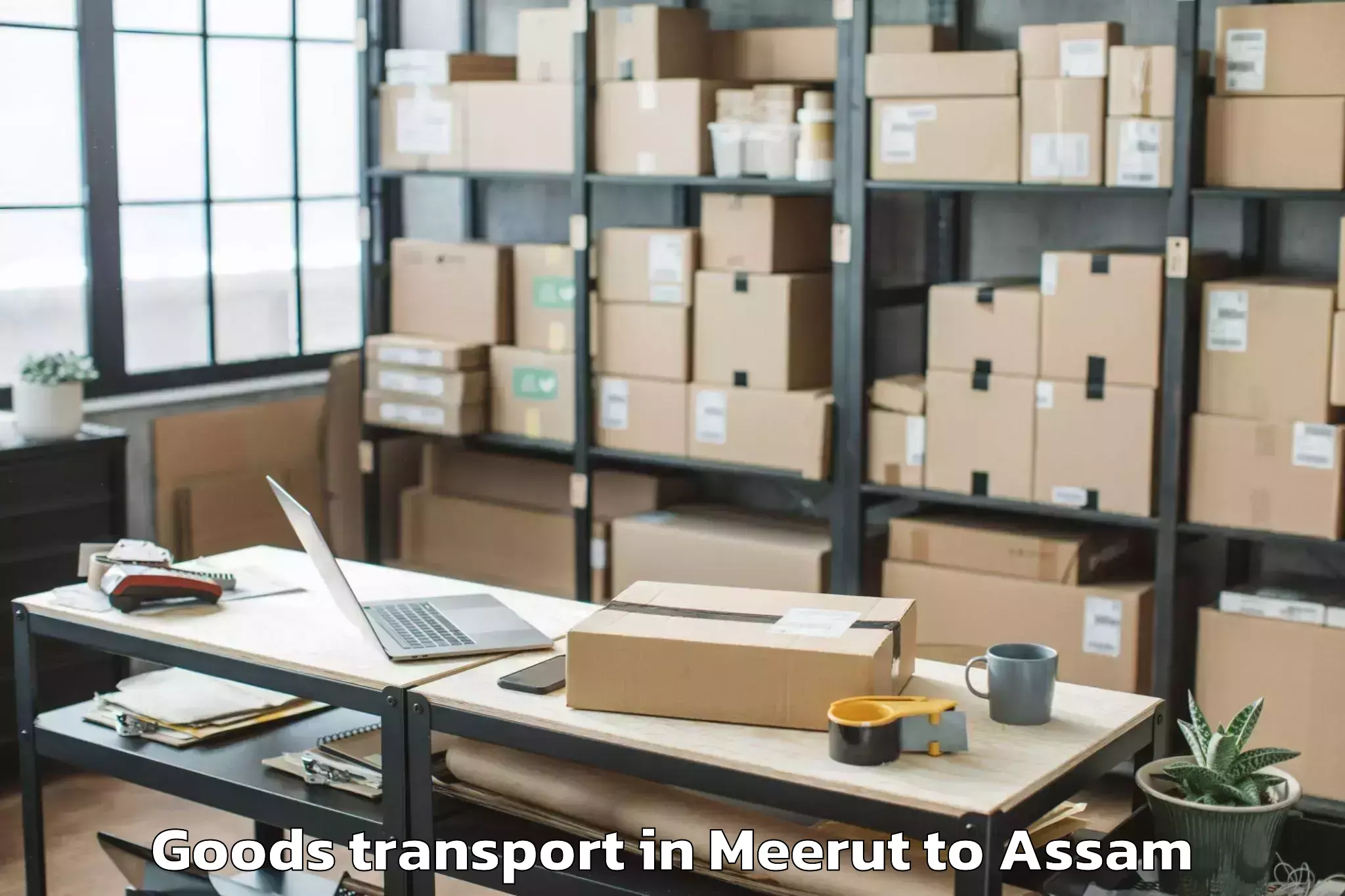 Affordable Meerut to Kabuganj Goods Transport